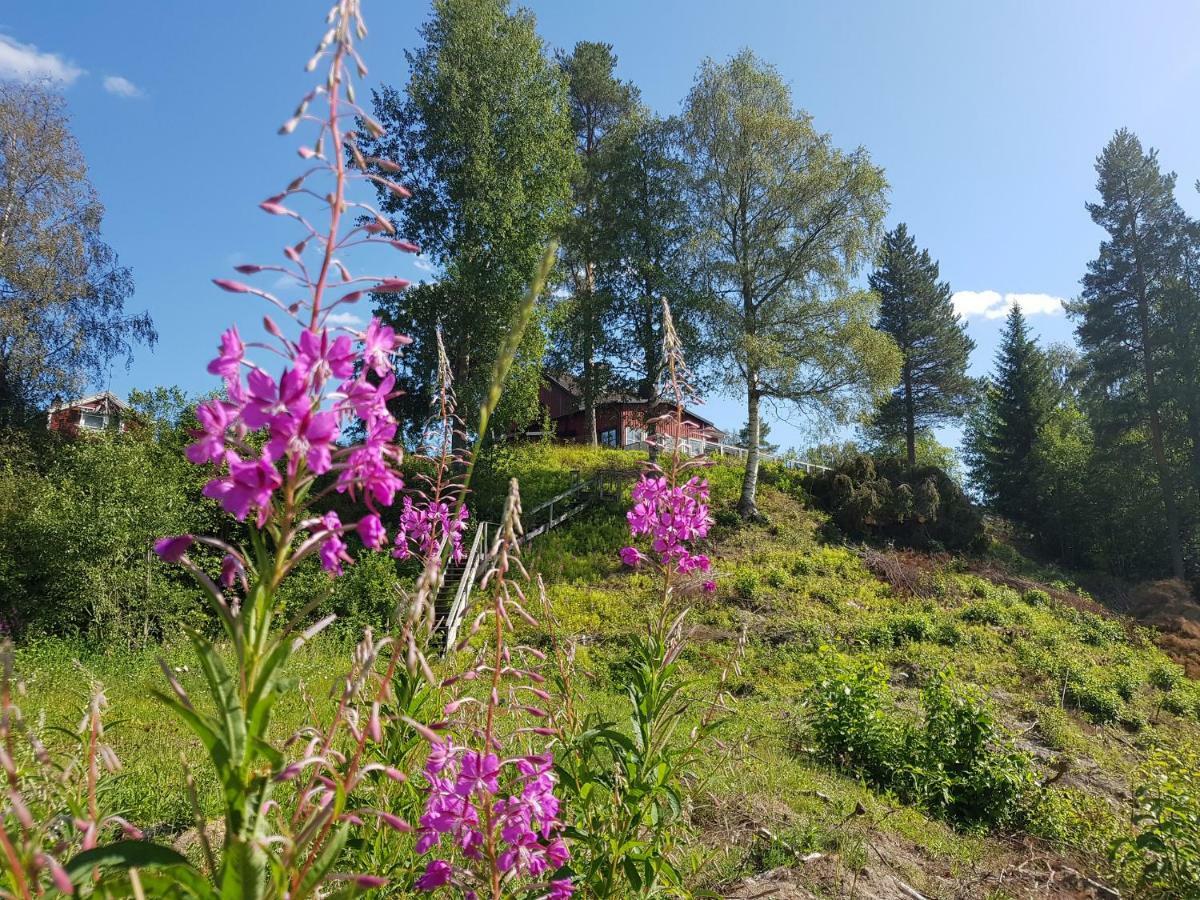 Bjoernforsens Turist & Konferenshotell, Naera Husum, Oernskoeldsvik Bjorna Экстерьер фото