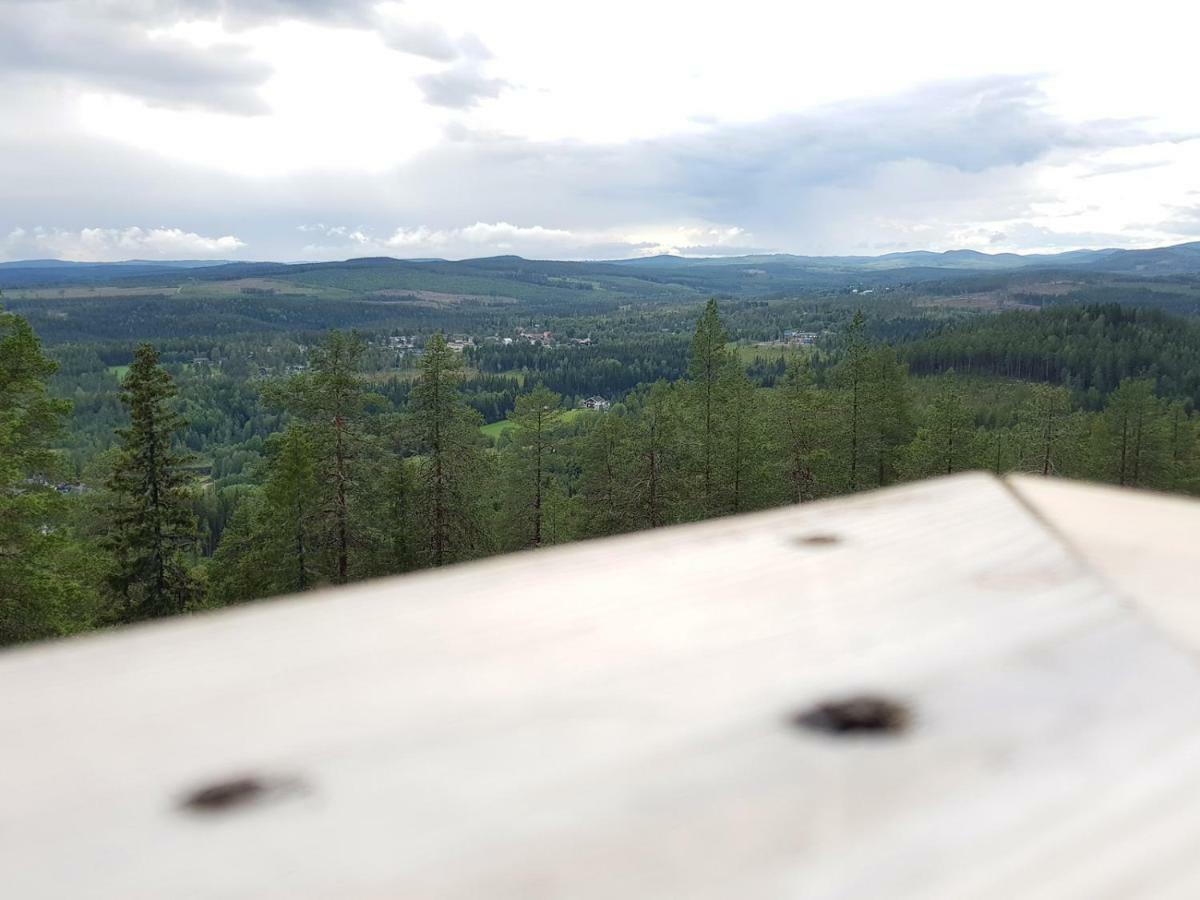 Bjoernforsens Turist & Konferenshotell, Naera Husum, Oernskoeldsvik Bjorna Экстерьер фото